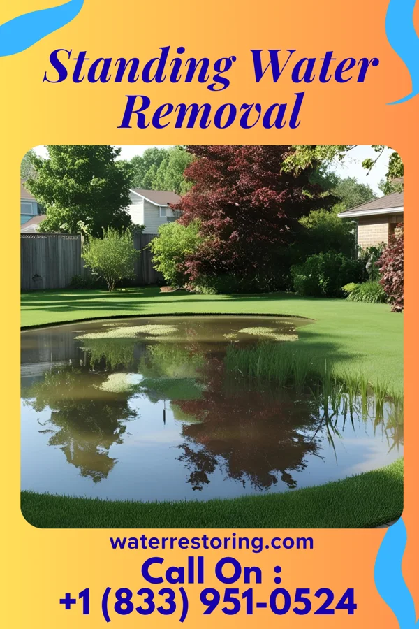 Standing Water Removal in Pleasant Hill, MO
